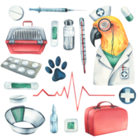 Veterinary set with doctor parrot, pet carrier, medicines. Watercolor illustration, hand drawn. Isolated objects, for the design of clinics, hospitals, pharmacies, medicines png