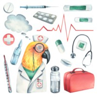 Parrot doctor in a dressing gown, glasses, with a stethoscope, a suitcase and medical instruments, pills, injections. Watercolor illustration, hand drawn. Set isolated png