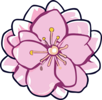 Sakura png Grafik Clip Art Design