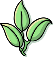 groen thee bladeren PNG grafisch clip art ontwerp