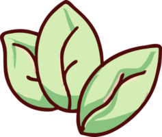 Green tea leaves png graphic clipart design