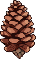 pine cone png graphic clipart design