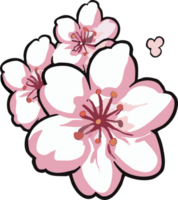 sakura png graphic clipart design