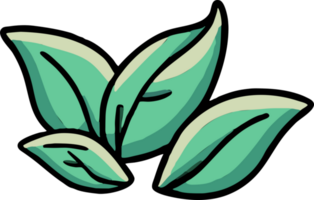 Green tea leaves png graphic clipart design