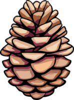 pine cone png graphic clipart design