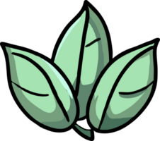 Green tea leaves png graphic clipart design
