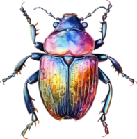 Beetle Watercolor Illustration. png