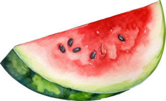 Watermelon Watercolor Illustration. png