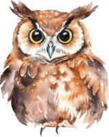 hibou aquarelle illustration. ai généré png