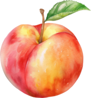 persika frukt vattenfärg illustration. ai genererad png