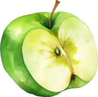 Green Apple Watercolor Illustration. png