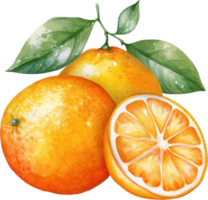 Orange fruit aquarelle illustration. ai généré png