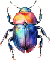 Beetle Watercolor Illustration. png