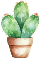 Cactus Watercolor Illustration png