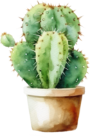 Cactus Watercolor Illustration png