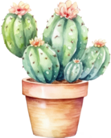 cactus acquerello illustrazione ai generato png