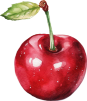 Red Cherry Watercolor Illustration. png