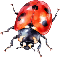 coccinella acquerello illustrazione. ai generato png