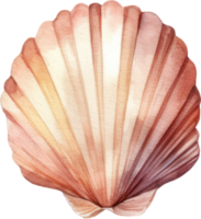 Seashell Watercolor Illustration. png