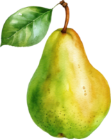 Peer fruit waterverf illustratie. ai gegenereerd png