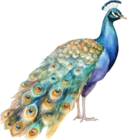 pavo real pájaro acuarela ilustración. ai generado png