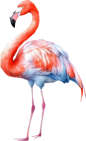 flamingo vogel waterverf illustratie. ai gegenereerd png