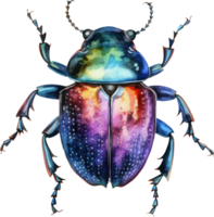 Beetle Watercolor Illustration. png