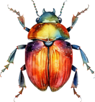 Beetle Watercolor Illustration. png