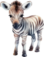 carino zebra acquerello illustrazione. ai generato png