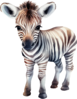 fofa zebra aguarela ilustração. ai gerado png