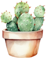 Cactus Watercolor Illustration png