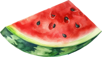 Watermelon Watercolor Illustration. png