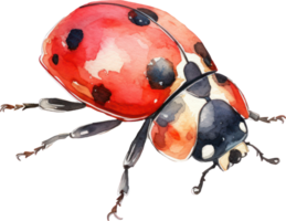 coccinella acquerello illustrazione. ai generato png