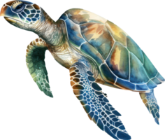 Meer Schildkröte Aquarell Illustration. ai generiert png