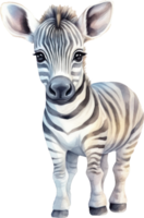 Cute Zebra Watercolor Illustration. png