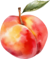 persika frukt vattenfärg illustration. ai genererad png