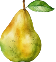 päron frukt vattenfärg illustration. ai genererad png