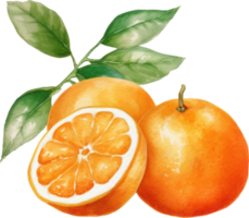 naranja Fruta acuarela ilustración. ai generado png