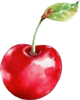 rojo Cereza acuarela ilustración. ai generado png