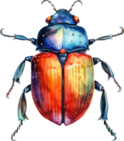 Beetle Watercolor Illustration. png