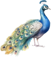 pavo real pájaro acuarela ilustración. ai generado png