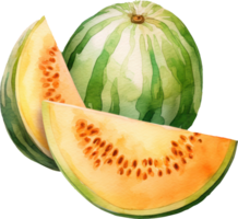 Cantaloup-Melone Aquarell Illustration. ai generiert png