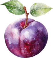 plommon frukt vattenfärg illustration. ai genererad png