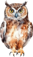 Owl watercolor illustration. png
