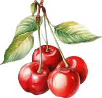 rojo Cereza acuarela ilustración. ai generado png