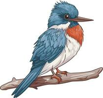 Kingfisher vector art. Dive into vibrant colors and Dynamic designs for your creative journey.