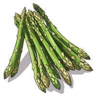 Asparagus Artistry. Unleashing Creativity with Nature's Green Elixir. vector