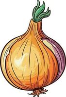 Add a layer of Intrigue to your designs with our unique onion graphics. vector