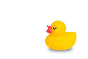 Rubber duck isolated on white background photo