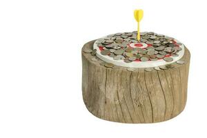 Coin with dart board on the wood. Clipping path photo